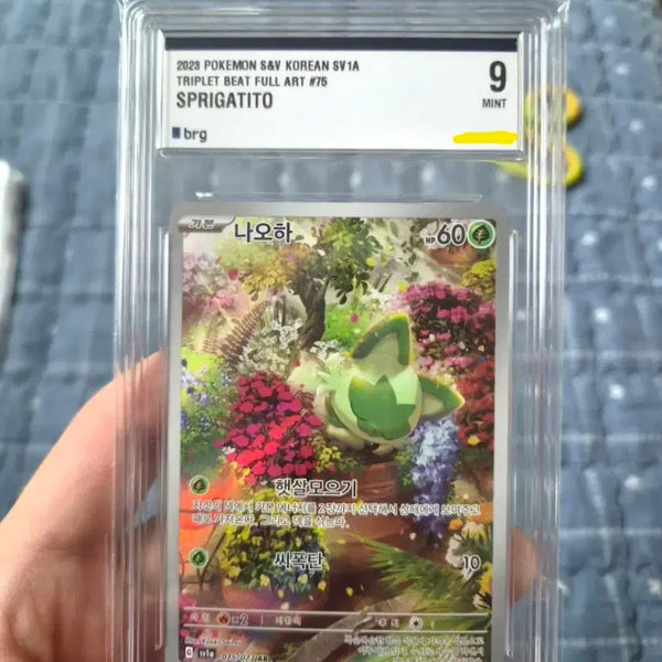 [BUNJANG] Pokemon Card Naoa AR Card BRG Graded 9 / 포켓몬카드 나오하 AR 카드 BRG 9등급