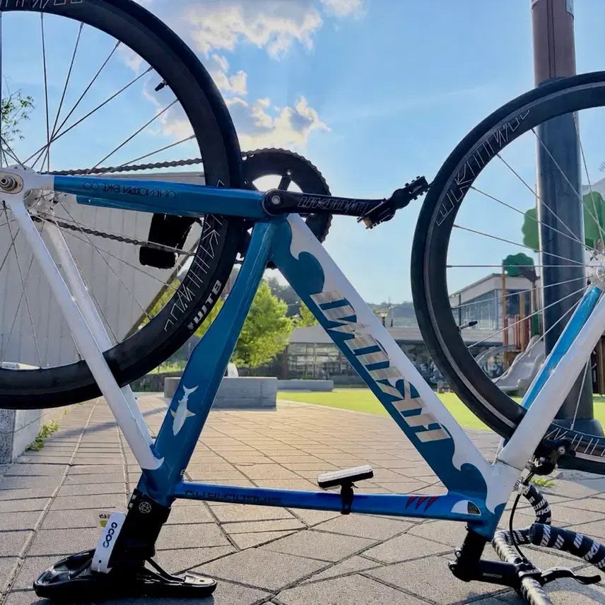 [BUNJANG] Unknown Shark 2024 Model Bicycle / 언노운샤크2024년식(m)