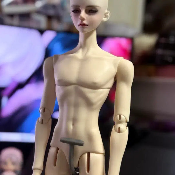 [BUNJANG] Model Delf Diez Romance (White) Doll Zone 45cm Body (White) / 구체관절인형 모델델프 디에즈 로맨스 미백 / 돌존45바디 미백