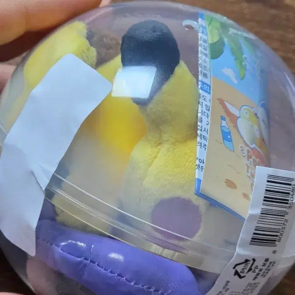 [BUNJANG] Pokemon Relaxing Vacation Tube Mascot Keyring / 포켓몬 부산 팝업 느긋느긋 바캉스 튜브 마스코트 키링 현물 양도