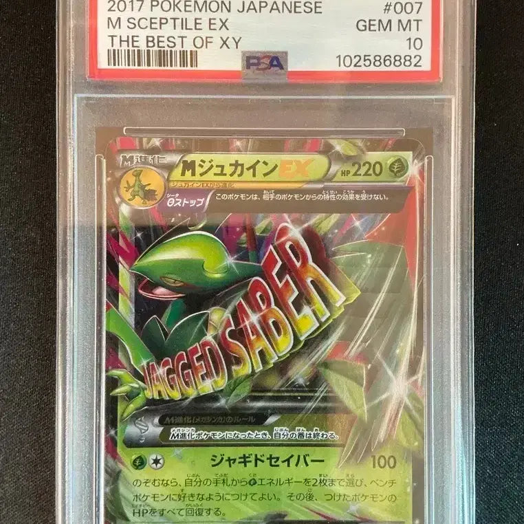 [BUNJANG] Pokemon Card Trevenant EX PSA 10 / 포켓몬카드 M나무킹EX PSA10