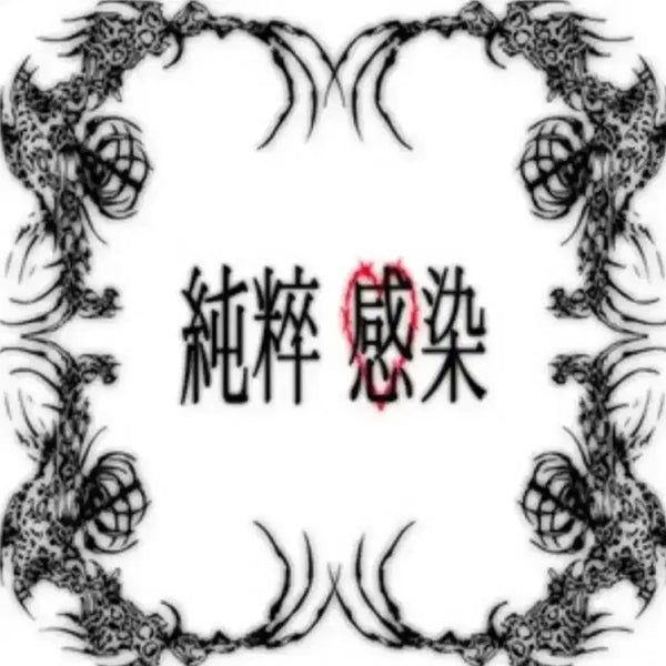 [BUNJANG] B.A.P Himchan Pureness Infected Album / 편힘찬 순수감염 앨범