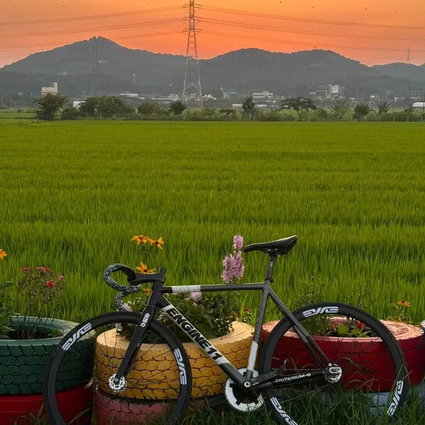 [BUNJANG] Envy Decal 35mm Carbon Wheelset / 엔비데칼 35림 카본휠셋