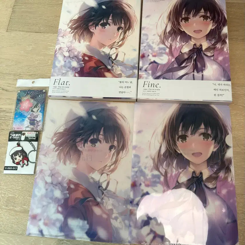 [BUNJANG] Saekano Misaki Kurehito Art Books & Merchandise Bundle / 사에카노 화집 상/하 , 클리어화일 상/하 , 포스터 상