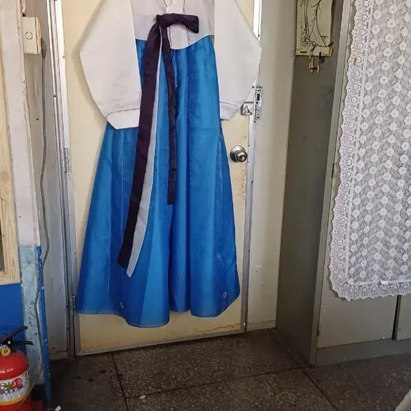 [BUNJANG] Women's Hanbok Skirt (Size 66) / 여성한복본경66싸이즈치마길이126센치
