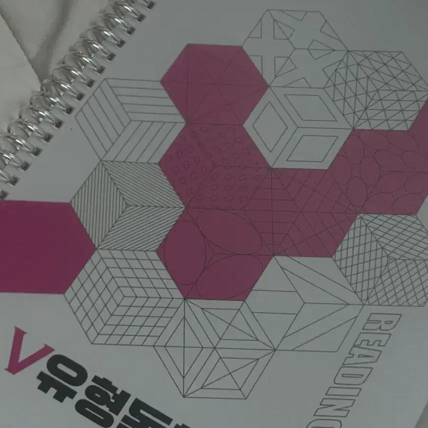 [BUNJANG] Kim Ji-young Type V Reading Comprehension Workbook / 김지영 V유형독해