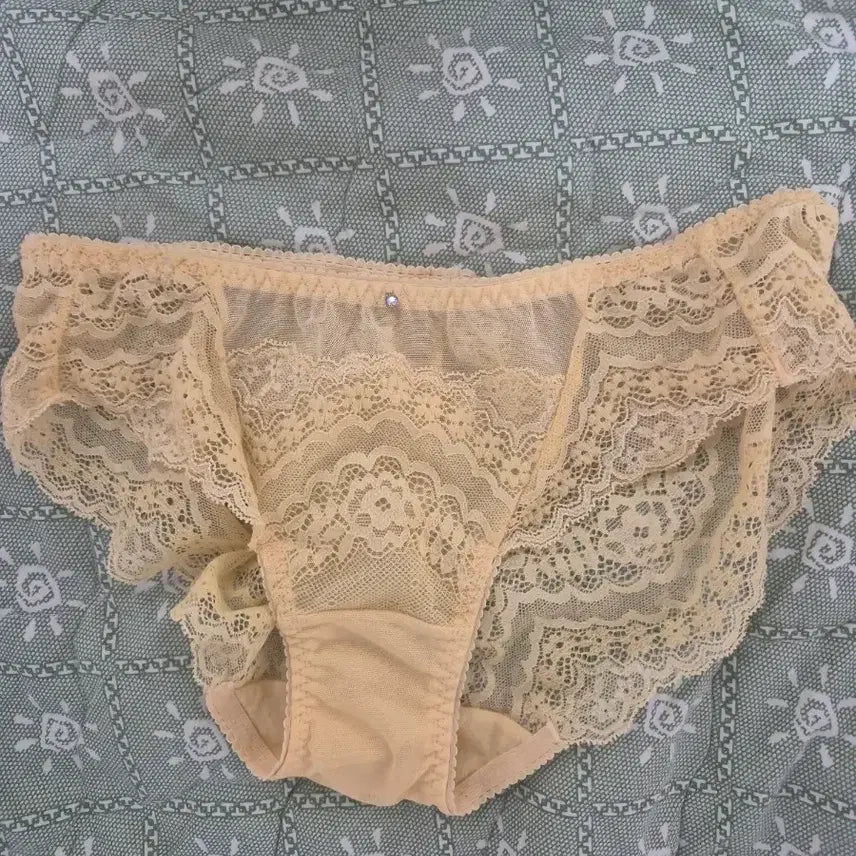 [BUNJANG] Evelyn Underwear / 중고 여자 에블린