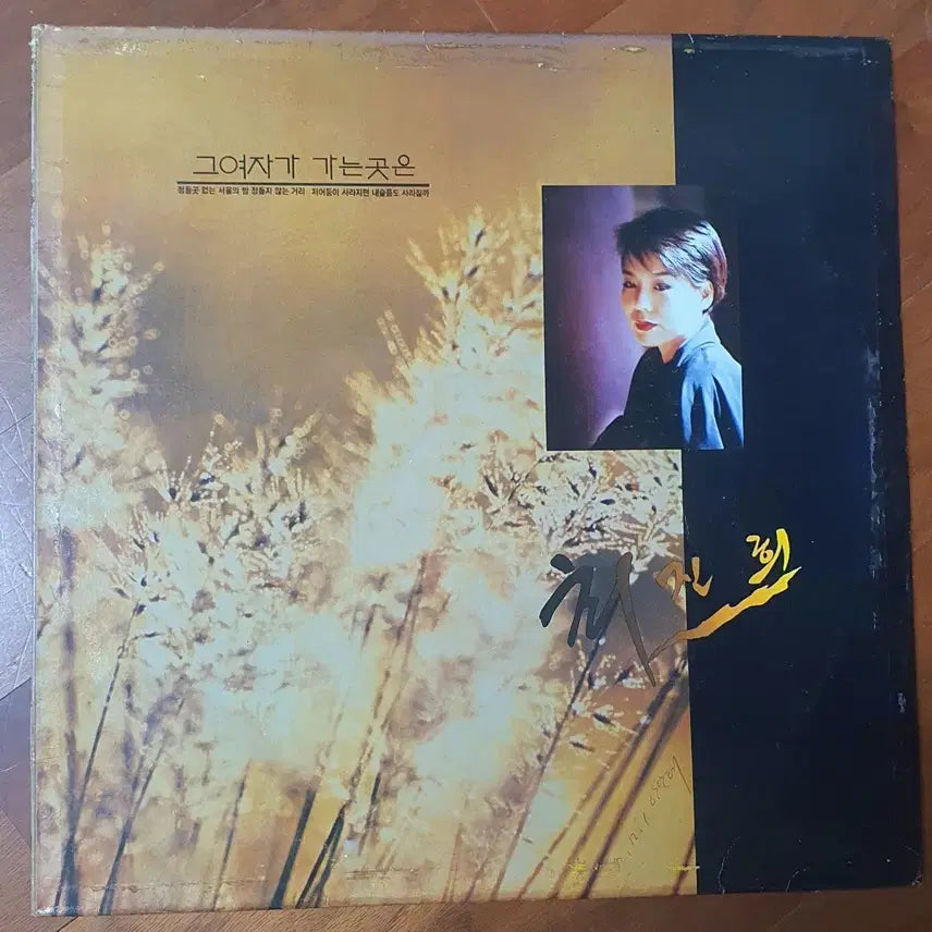 [BUNJANG] Choi Jin-hee 5th Album 'The Place She Goes' LP / 최진희5집 그여자가 가는곳은lp