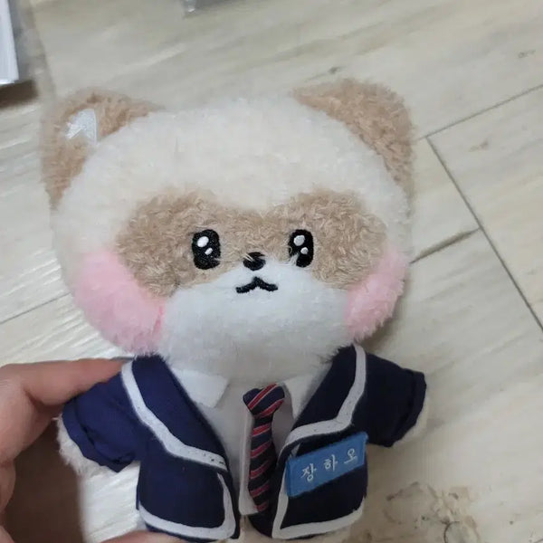 [BUNJANG] Zhang Hao Doll / 장하오 인형