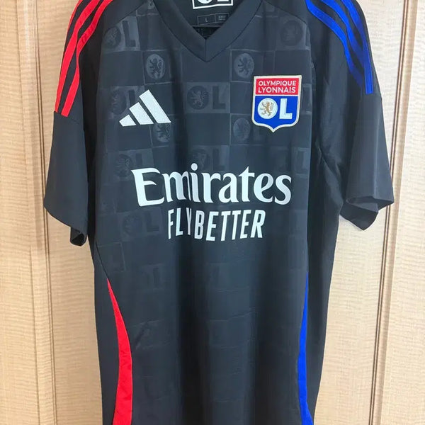 [BUNJANG] Olympique Lyonnais 2024-25 Away Replica Jersey (Men's L) / [해외L] 24-25 리옹 어웨이