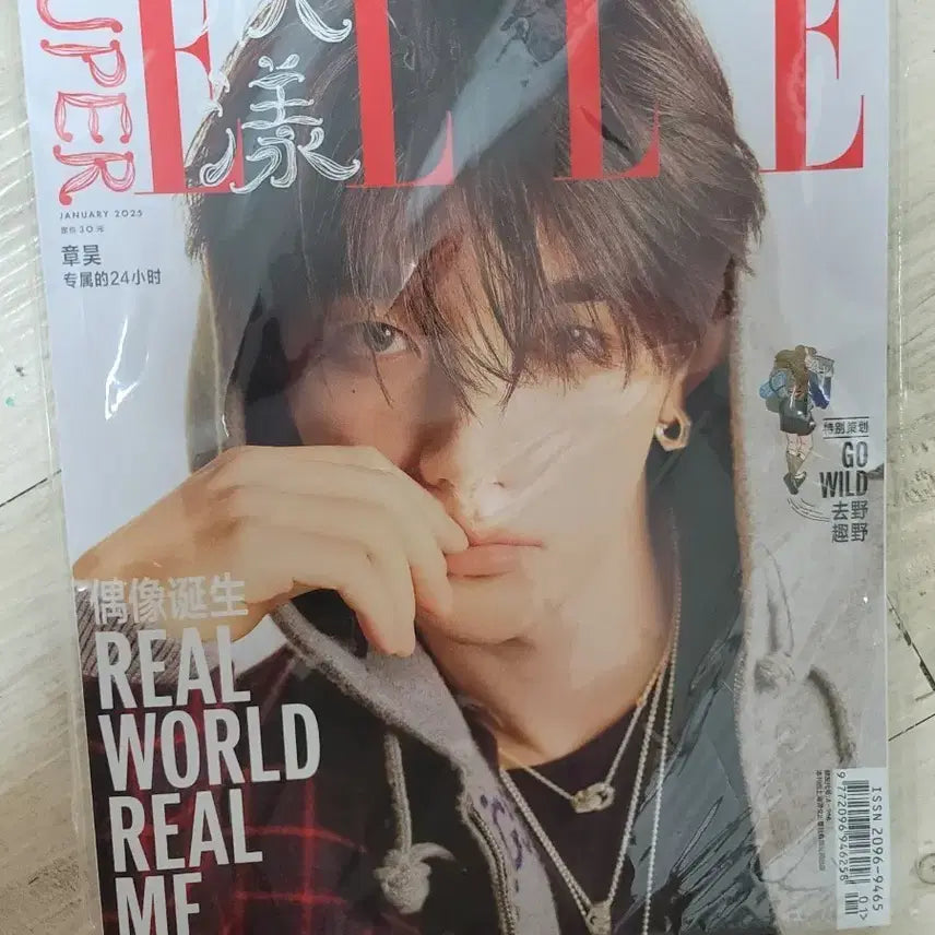 [BUNJANG] Super Elle China Zhang Hao Poster Set / 수퍼엘르 차이나 장하오