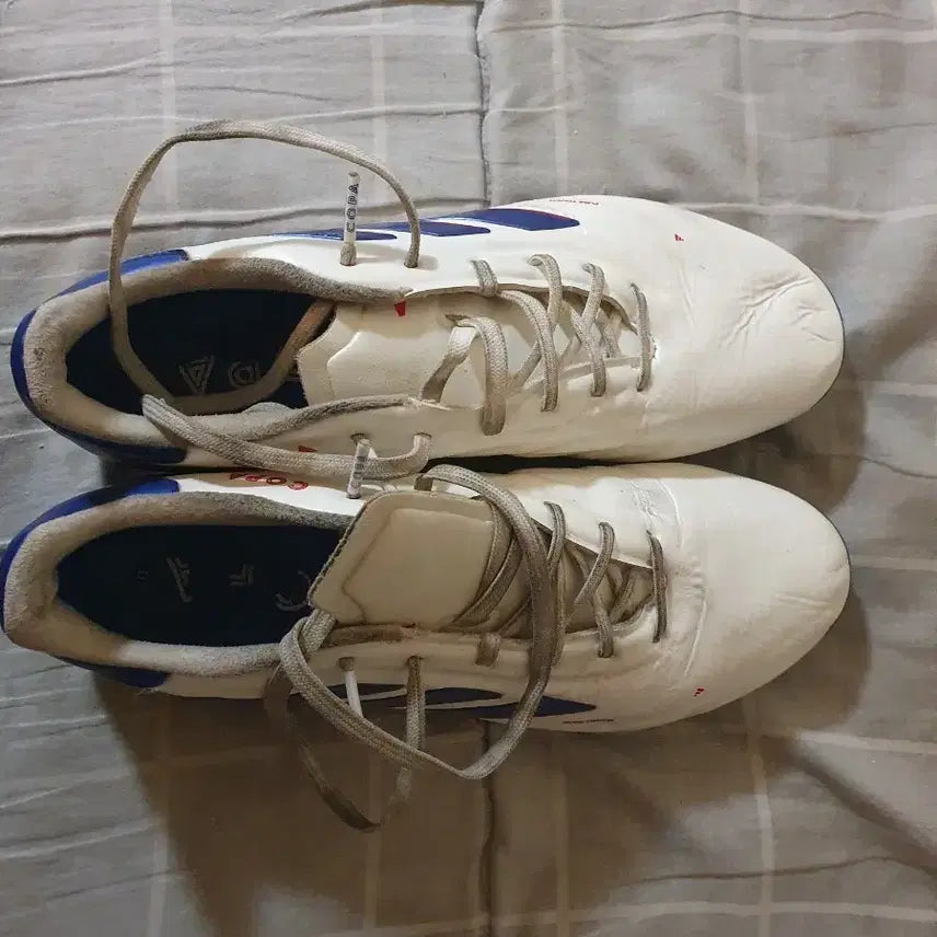 [BUNJANG] Adidas CopaPure2 Elite AG Men's Soccer Cleats 265 / 아디다스 코파퓨어2 엘리트Ag 265
