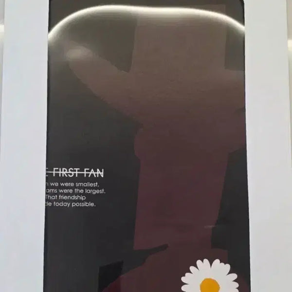 [BUNJANG] Toy Story Woody Daisy Poster / 토이 스토리 우디 데이지 포스터