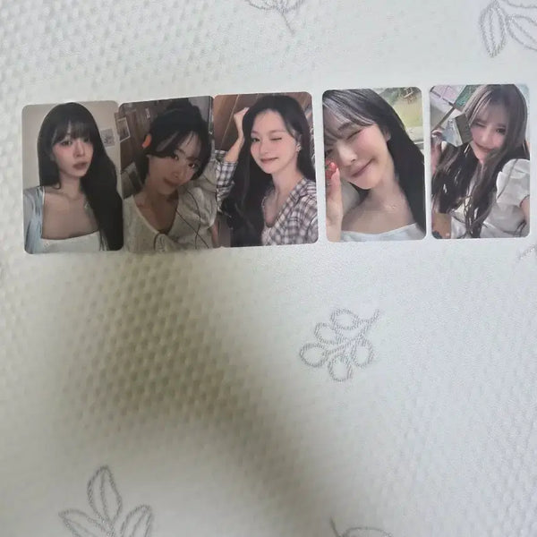 [BUNJANG] fromis_9 2025 Membership Photocard / 프로미스나인 25년도 멤버십 포카 판매합니다