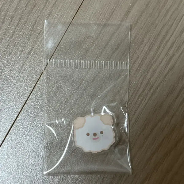 [BUNJANG] Day6 Popup Gacha Jibbitz Don / 데이식스 팝업 가챠 지비츠 돈