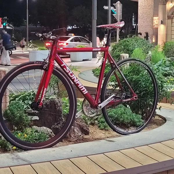 [BUNJANG] Tsunami SNM100 M Size Road Bike / 쓰나미snm100 판/대