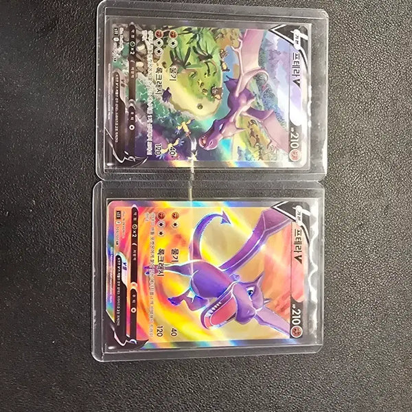 [BUNJANG] Ptera V Special Illustration Rare & Ptera V SR Bundle Set / 프테라 v 특일 / 프테라 v sr (일괄)