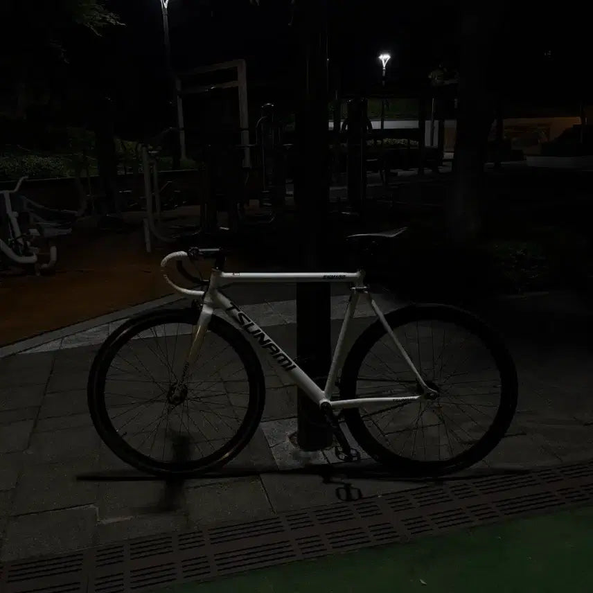 [BUNJANG] Tsunami Pixie L-Size Bicycle / (개급처)쓰나미 픽시 자전거 반차만