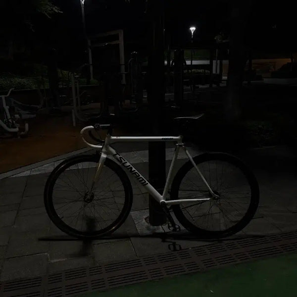 [BUNJANG] Tsunami Pixie L-Size Bicycle / (개급처)쓰나미 픽시 자전거 반차만