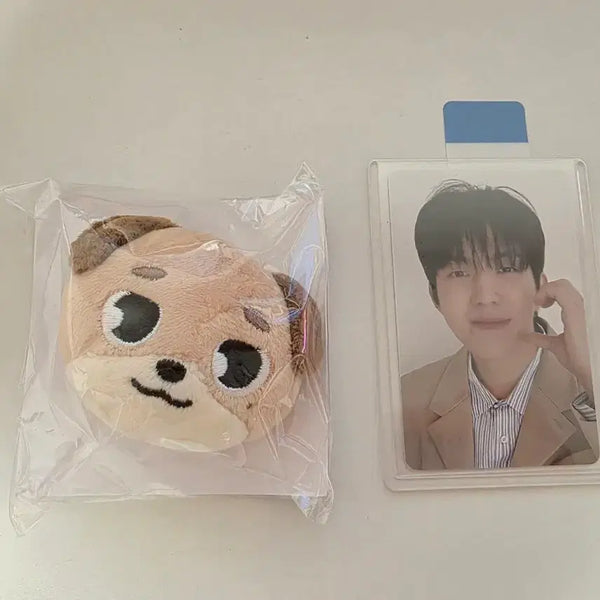 [BUNJANG] DAY6 Young K (Dowoon) Denimals Doni Hairpin + Japan Photocard / 데이식스 도운 데니멀즈 돈 돈이 헤어핀 + 일본 포카
