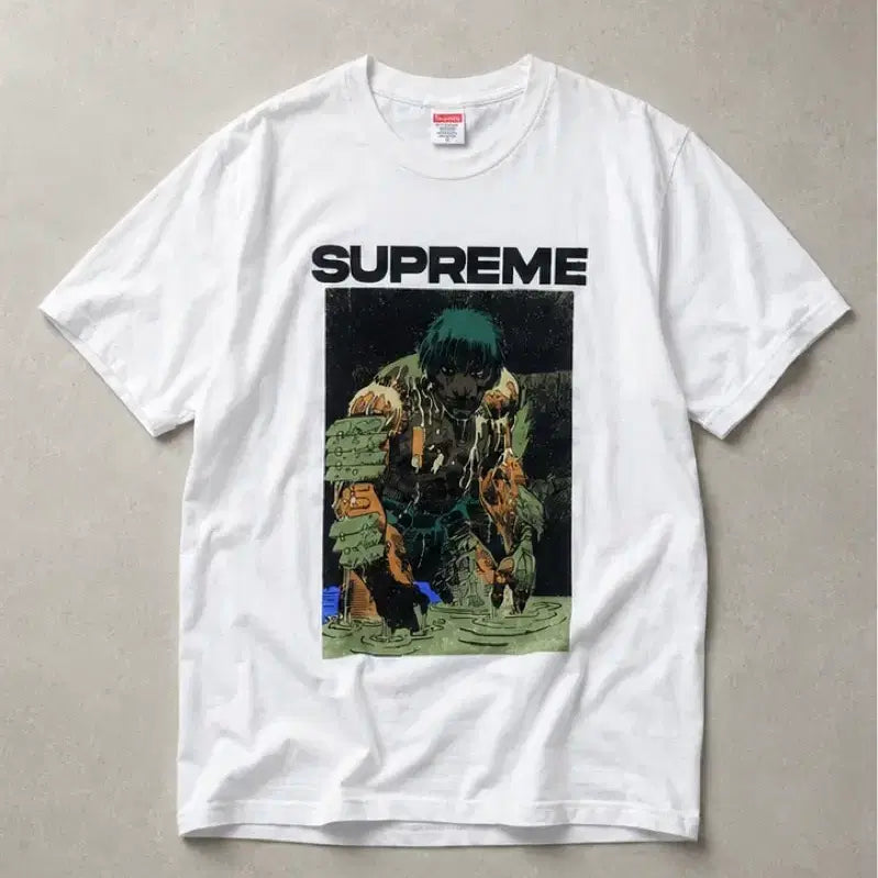 [BUNJANG] Supreme Short Sleeve T-Shirt (M) / 슈프림 반팔 m