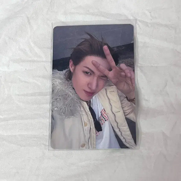 [BUNJANG] Martin Photocard / 마틴 포카