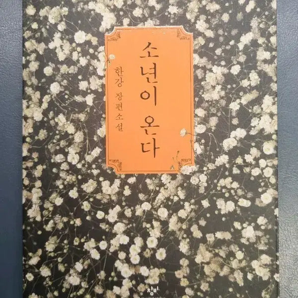 [BUNJANG] Boy, Come On Book / 소년이 온다 책 판매해요