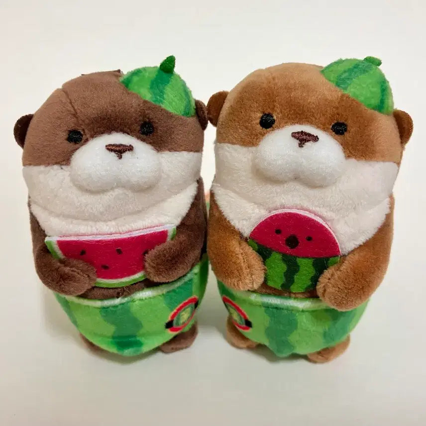 [BUNJANG] Woosoo Woosoo Watermelon Keychain Set / 우소우소 수박 키링 (2개 다 드려요)