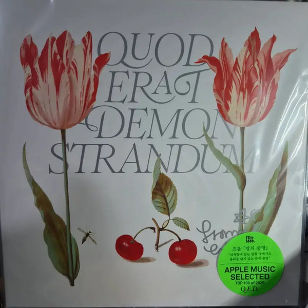 [BUNJANG] Q.E.D. Signed LP / 프롬 Q.E.D LP 사인반