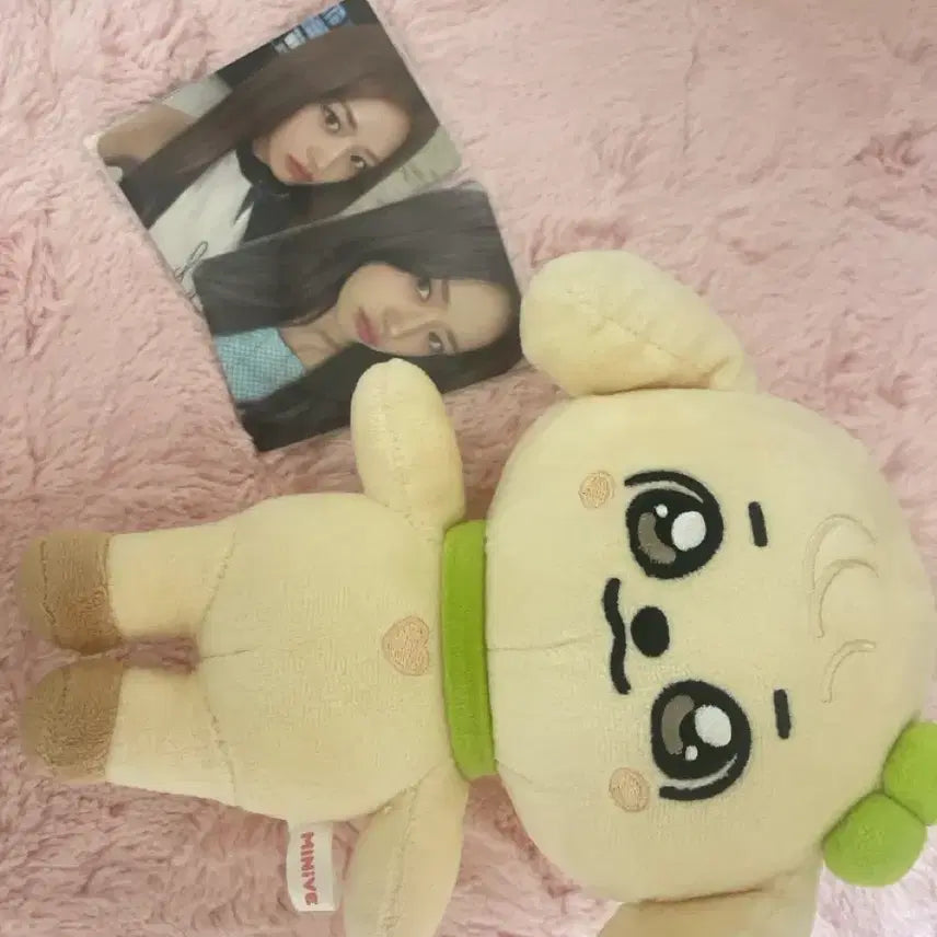 [BUNJANG] Minive Kang Anji Doll Set with Yujin Photocards / 미니브 강안지 인형