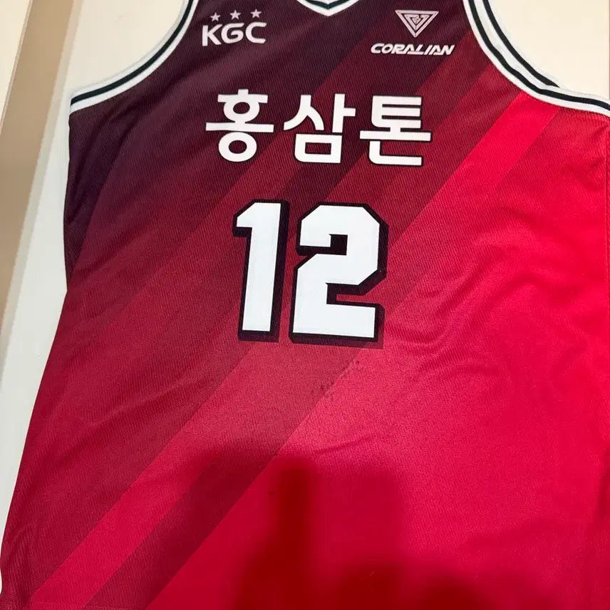 [BUNJANG] Anyang KGC-RedBoosters Avanche Jersey / 안양 정관장 레드부스터스 아반도 유니폼