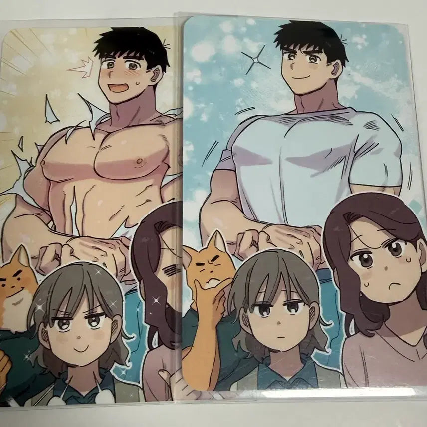 [BUNJANG] Bomtoon DoGam Photocard Bundle Set / 봄툰도감 포토카드 양도