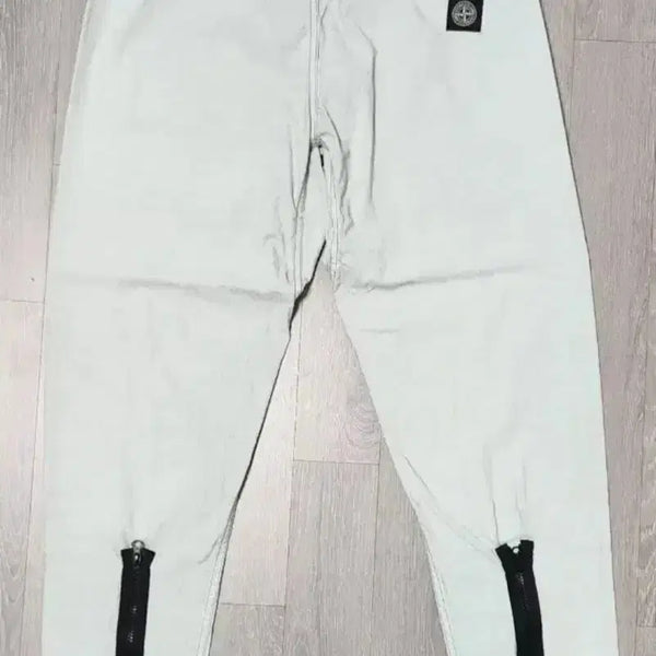 [BUNJANG] Stone Island Canvas Cargo Pants / 스톤아일랜드 카고 팬츠 캔버스 (바지 희귀매물)