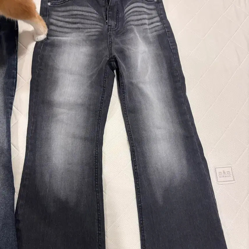 [BUNJANG] Bootcut Pants / 부츠컷바지