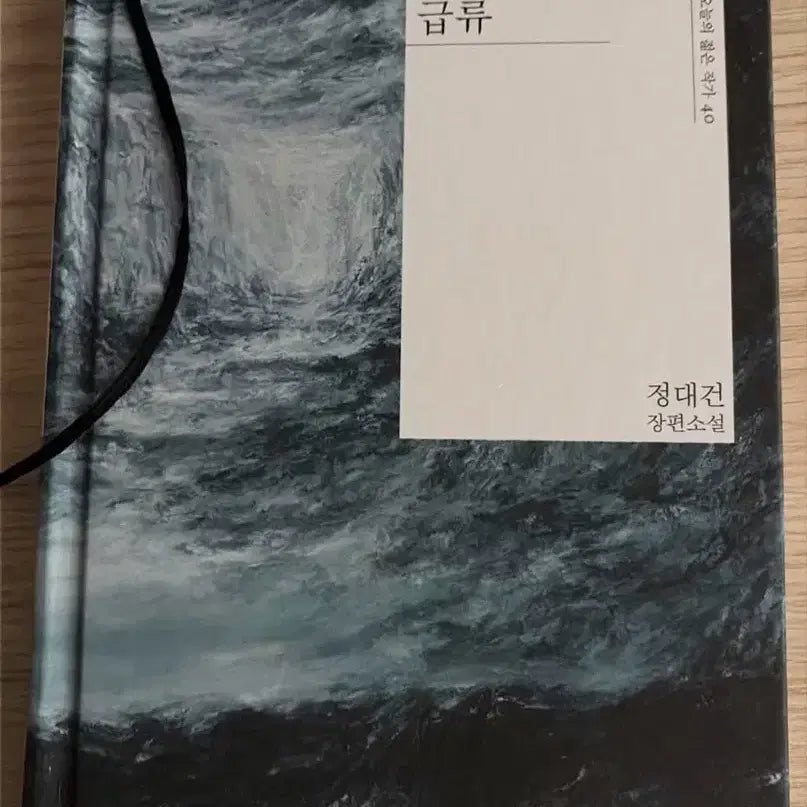 [BUNJANG] Jeong Dae-geon Long Novel: Rapids / 정대건 장편소설 급류