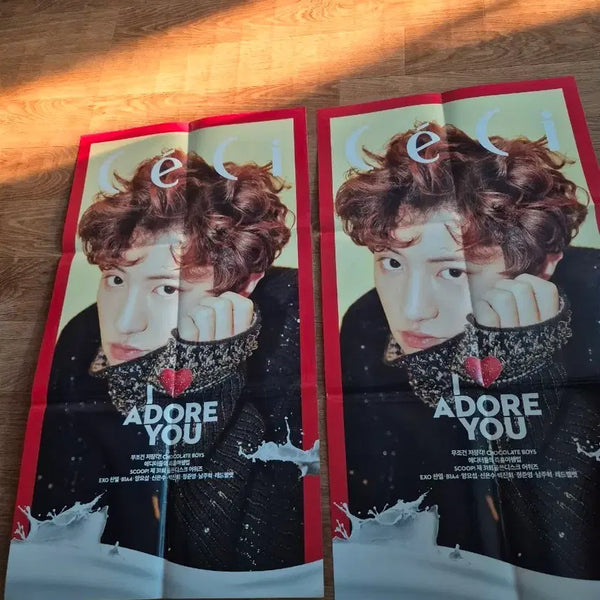 [BUNJANG] EXO Chanyeol Poster Set / EXO 찬열 포스터 2장