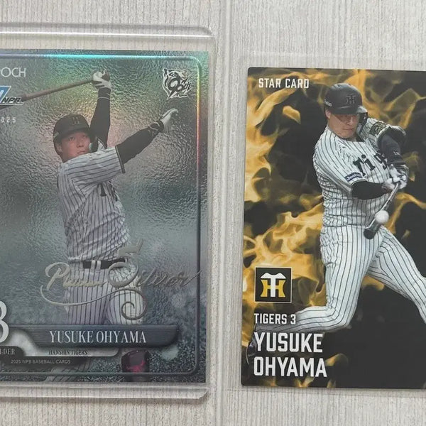 [BUNJANG] NPB Hanshin Tigers Baseball Cards Bundle / NPB 한신 타이거즈 야구카드