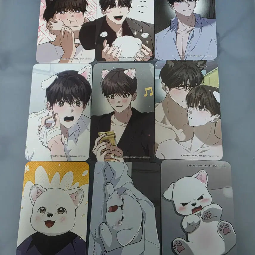 [BUNJANG] Stayc 'Teddy Bear' Collection Photocard Bundle Set / 모펀 콜라보카페 방문 포토카드 방포 강아지는 건드리지 마라 강건마 일괄 양도