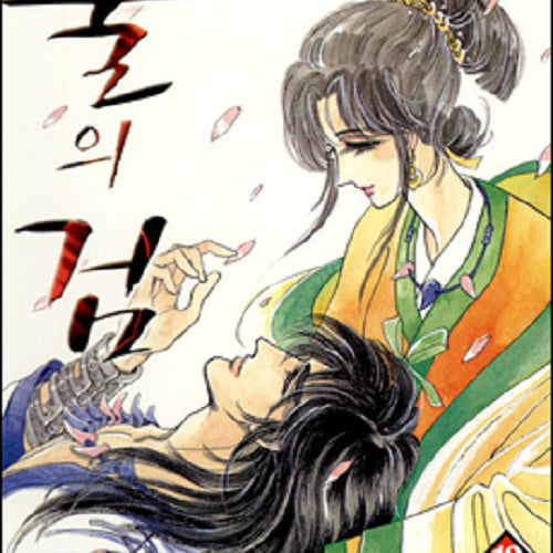[BUNJANG] Kim Hye-rin's 'The Sword of Fire' Complete 1-12 Volumes / 불의검 1-12완결 1-8권 육영재단