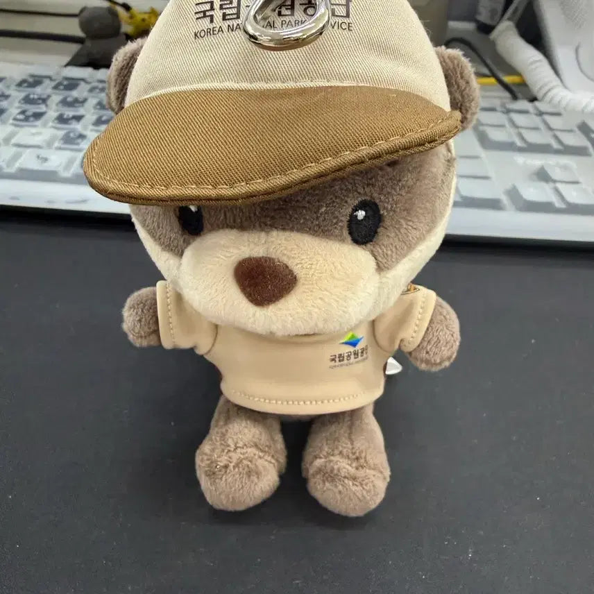 [BUNJANG] National Park Dalconee Keyring / 국립공원 달콩이 키링 , 국립공원 공식 굿즈 키링