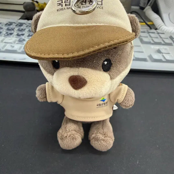 [BUNJANG] National Park Dalconee Keyring / 국립공원 달콩이 키링 , 국립공원 공식 굿즈 키링