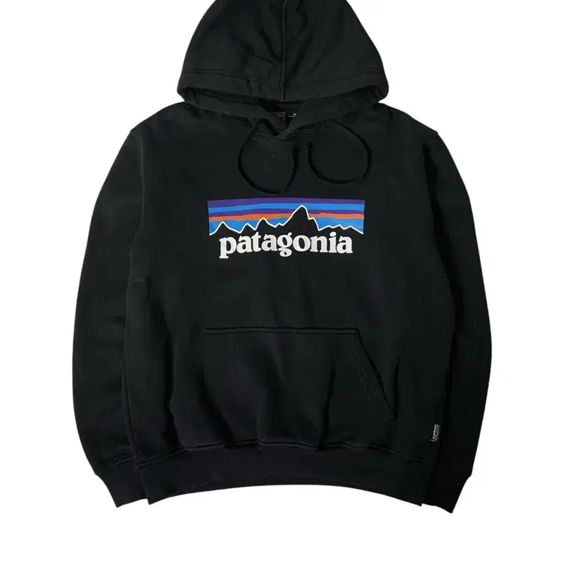 [BUNJANG] Patagonia Logo Graphic Hoodie / 파타고니아 로고 그래픽 후드티