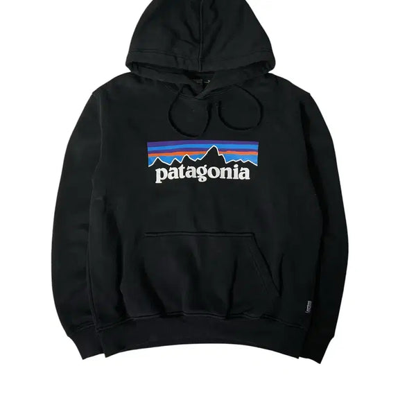 [BUNJANG] Patagonia Logo Graphic Hoodie / 파타고니아 로고 그래픽 후드티