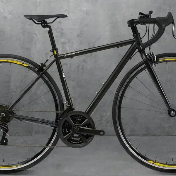 [BUNJANG] Alton Zeppelin R21 Road Bicycle / 알톤 제플린R21 2026 판매합니다