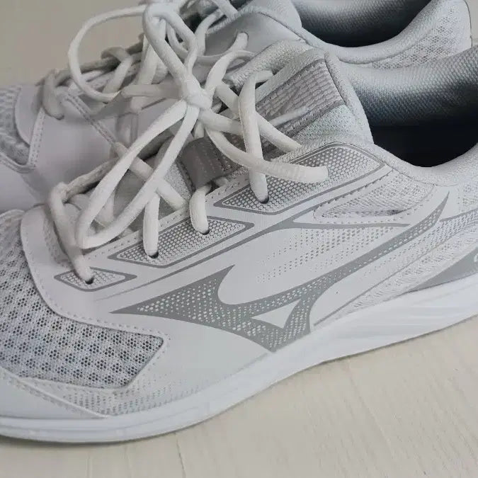[BUNJANG] Mizuno Cyclone Speed 5 Badminton Shoes / 미즈노 사이클론 스피드 5 배드민턴화 탁구화//285