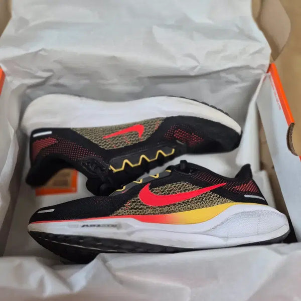 [BUNJANG] Nike Pegasus 41 Running Shoes / [260mm] 나이키 페가수스 41 나이키 러닝화
