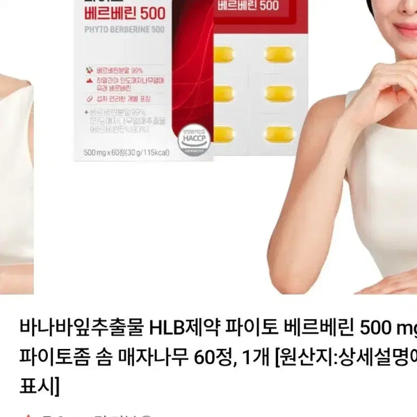 [BUNJANG] HLB Pharma Phyto Berberine 500 (60 Tablets) / [저속노화, 폴리페놀]HLB제약-파이토 베르베린 500(60정)