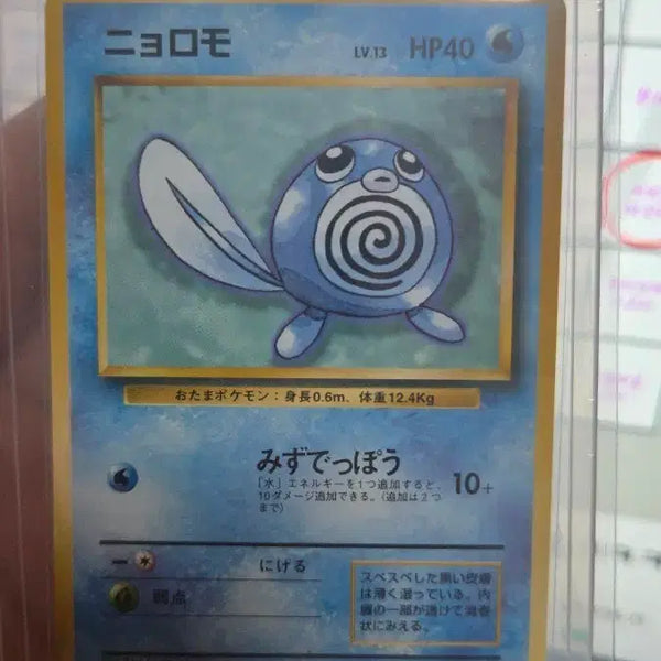[BUNJANG] Pokemon Card Goldeen / 포켓몬카드 발챙이