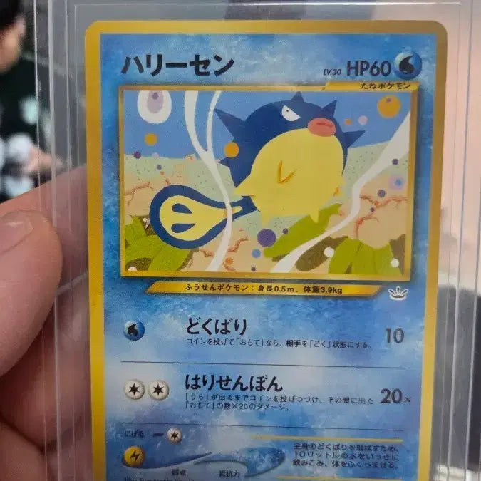 [BUNJANG] Pokemon Card Harisen No. 211 / 포켓몬카드 하리센 No.211