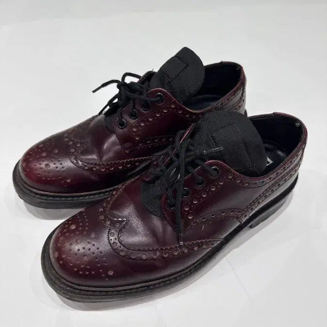 [BUNJANG] Prada Leather Wingtip Shoes Brown / [6] 프라다 레더 윙팁 슈즈 브라운